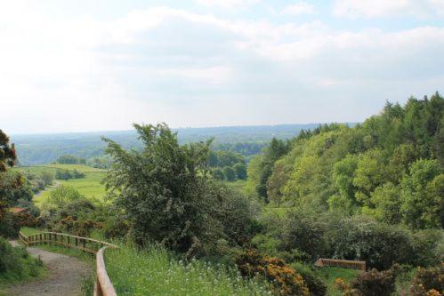 Yorkshire Dales Lodge 3 Family 3 Bed Ричмънд Екстериор снимка